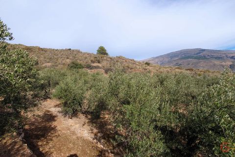 Terra a Pinar, Granada, Pinar - € 63.000 | Ref: L649 - foto 8
