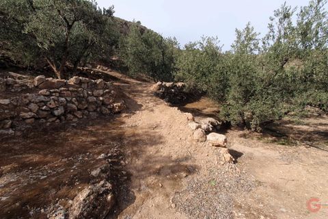 Terra a Pinar, Granada, Pinar - € 63.000 | Ref: L649 - foto 9