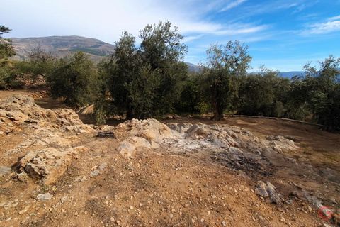 Terra a Pinar, Granada, Pinar - € 63.000 | Ref: L649 - foto 10