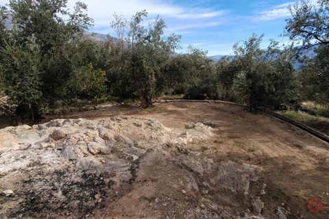 Terra a Pinar, Granada, Pinar - € 63.000 | Ref: L649 - foto 11