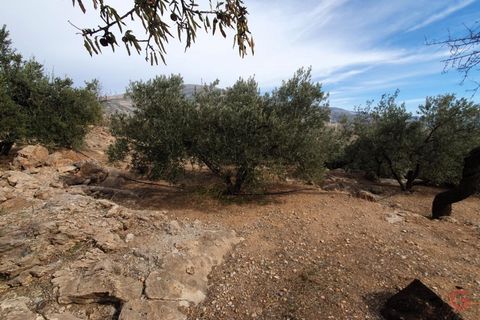 Terra a Pinar, Granada, Pinar - € 63.000 | Ref: L649 - foto 12