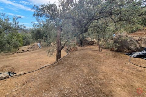 Terra a Pinar, Granada, Pinar - € 63.000 | Ref: L649 - foto 13