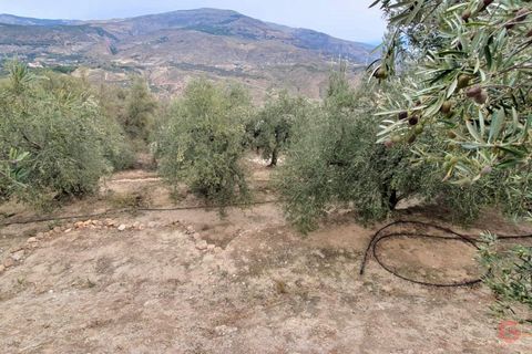 Terra a Pinar, Granada, Pinar - € 63.000 | Ref: L649 - foto 14
