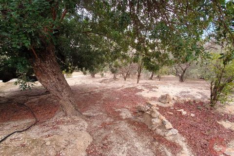 Terra a Pinar, Granada, Pinar - € 63.000 | Ref: L650 - foto 4