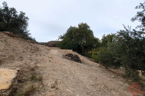 Terra a Pinar, Granada, Pinar - € 63.000 | Ref: L650 - foto 5