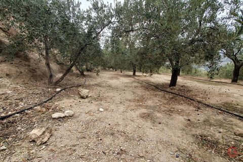 Terra a Pinar, Granada, Pinar - € 63.000 | Ref: L650 - foto 6