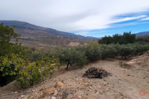 Terra a Pinar, Granada, Pinar - € 63.000 | Ref: L650 - foto 7