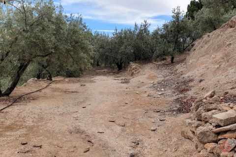 Terra a Pinar, Granada, Pinar - € 63.000 | Ref: L650 - foto 8
