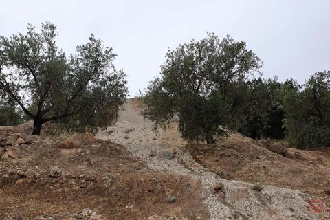 Terra a Pinar, Granada, Pinar - € 63.000 | Ref: L650 - foto 9