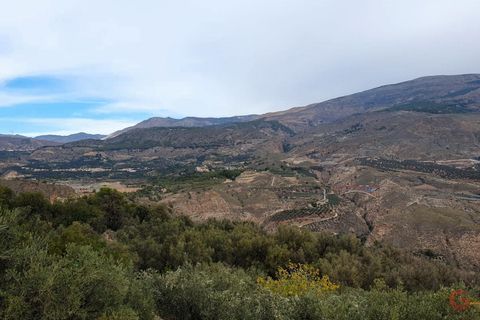 Terra a Pinar, Granada, Pinar - € 63.000 | Ref: L650 - foto 10