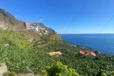 Helårsgrund i Calheta, Madeira, Calheta - € 550.000 | Ref: RK11338 - foto 1