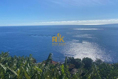 Helårsgrund i Calheta, Madeira, Calheta - € 550.000 | Ref: RK11338 - foto 3