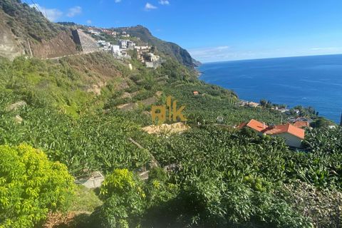 Helårsgrund i Calheta, Madeira, Calheta - € 550.000 | Ref: RK11338 - foto 7