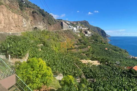 Helårsgrund i Calheta, Madeira, Calheta - € 550.000 | Ref: RK11338 - foto 8