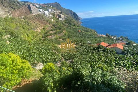 Helårsgrund i Calheta, Madeira, Calheta - € 550.000 | Ref: RK11338 - foto 9