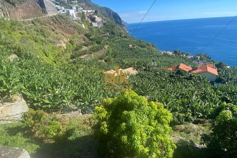 Helårsgrund i Calheta, Madeira, Calheta - € 550.000 | Ref: RK11338 - foto 10