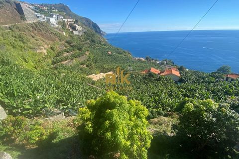 Helårsgrund i Calheta, Madeira, Calheta - € 550.000 | Ref: RK11338 - foto 11