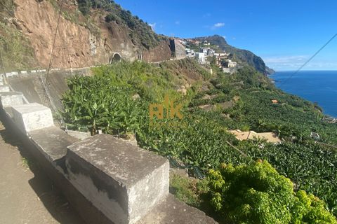 Helårsgrund i Calheta, Madeira, Calheta - € 550.000 | Ref: RK11338 - foto 12
