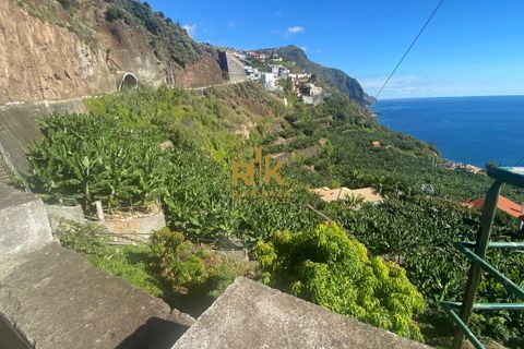 Helårsgrund i Calheta, Madeira, Calheta - € 550.000 | Ref: RK11338 - foto 13