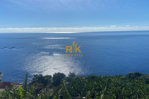 Helårsgrund i Calheta, Madeira, Calheta - € 550.000 | Ref: RK11338 - foto 14