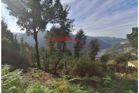 Helårsgrund i Penhalonga e Pacos de Gaiolo, Porto, Penhalonga e Pacos de Gaiolo - € 63.420 | Ref: AV47 - foto 3