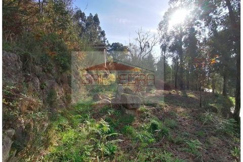 Helårsgrund i Penhalonga e Pacos de Gaiolo, Porto, Penhalonga e Pacos de Gaiolo - € 63.420 | Ref: AV47 - foto 4