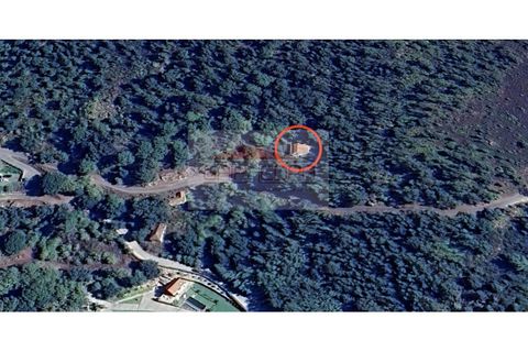 Helårsgrund i Penhalonga e Pacos de Gaiolo, Porto, Penhalonga e Pacos de Gaiolo - € 63.420 | Ref: AV47 - foto 7