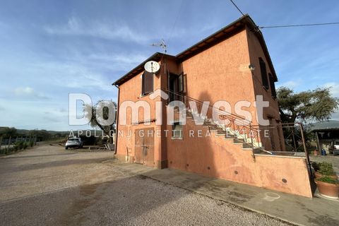 Landejendom i Capalbio, Grosseto, Capalbio - € 1.000.000 | Ref: D-VALMARINA - foto 1