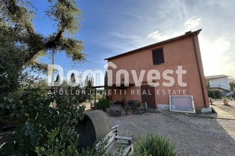 Landejendom i Capalbio, Grosseto, Capalbio - € 1.000.000 | Ref: D-VALMARINA - foto 11