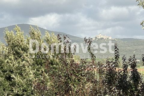 Landejendom i Capalbio, Grosseto, Capalbio - € 1.000.000 | Ref: D-VALMARINA - foto 3