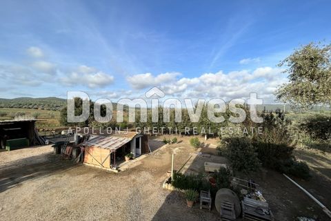 Landejendom i Capalbio, Grosseto, Capalbio - € 1.000.000 | Ref: D-VALMARINA - foto 4