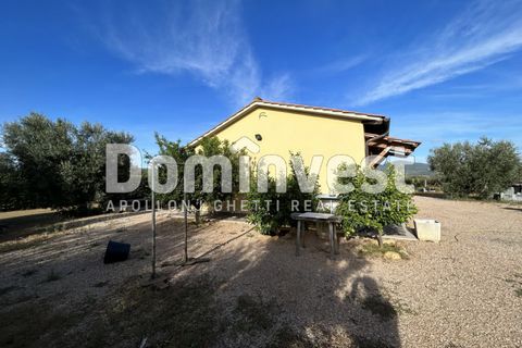 Landejendom i Capalbio, Grosseto, Capalbio - € 350.000 | Ref: D-VALMARINAp - foto 2