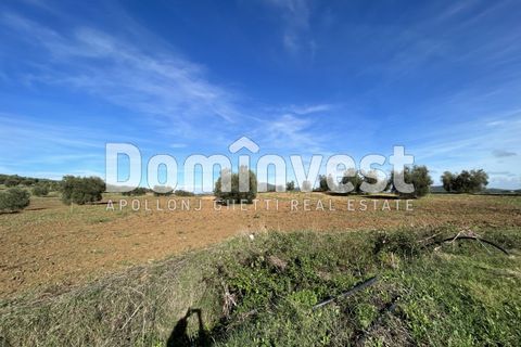 Landejendom i Capalbio, Grosseto, Capalbio - € 350.000 | Ref: D-VALMARINAp - foto 4