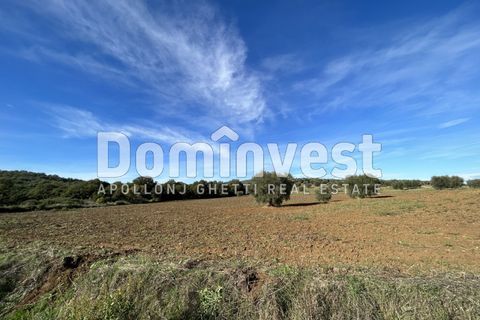 Landejendom i Capalbio, Grosseto, Capalbio - € 350.000 | Ref: D-VALMARINAp - foto 5