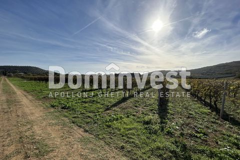 Landejendom i Capalbio, Grosseto, Capalbio - € 350.000 | Ref: D-VALMARINAp - foto 6