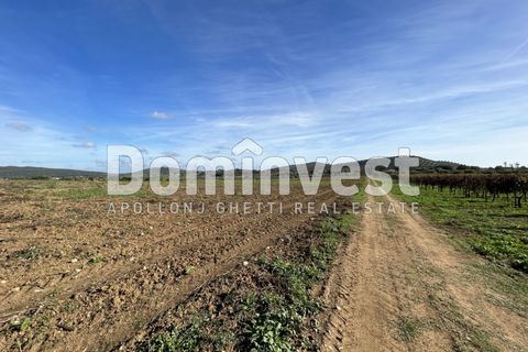 Landejendom i Capalbio, Grosseto, Capalbio - € 350.000 | Ref: D-VALMARINAp - foto 7