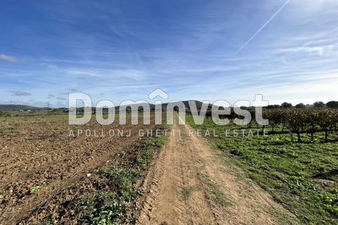 Landejendom i Capalbio, Grosseto, Capalbio - € 350.000 | Ref: D-VALMARINAp - foto 8
