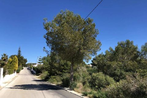 Helårsgrund i Javea, Alicante, Javea - € 445.000 | Ref: 10-70084 - foto 5