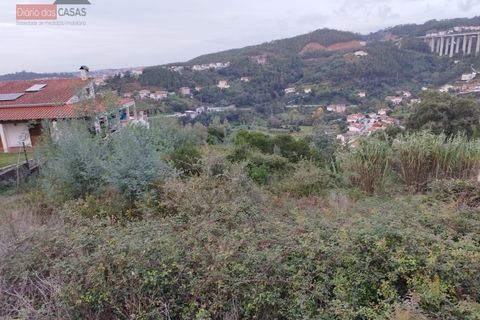 Tomt i Ceira, Coimbra, Ceira - € 65 000 | Ref: 5396 - foto 2