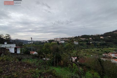 Tomt i Ceira, Coimbra, Ceira - € 65 000 | Ref: 5396 - foto 5