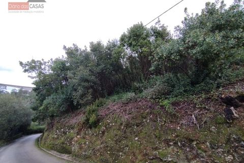 Terra a Ceira, Coimbra, Ceira - € 45.000 | Ref: 5395 - foto 2