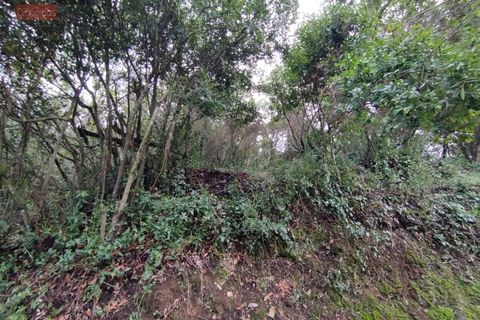 Terra a Ceira, Coimbra, Ceira - € 45.000 | Ref: 5395 - foto 3