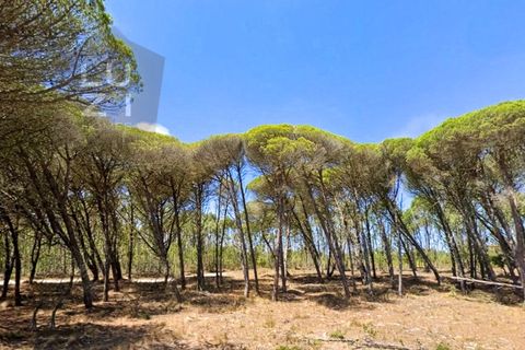 Helårsgrund i Sagres, Faro, Sagres - € 433.500 | Ref: DH230104_3 - foto 3