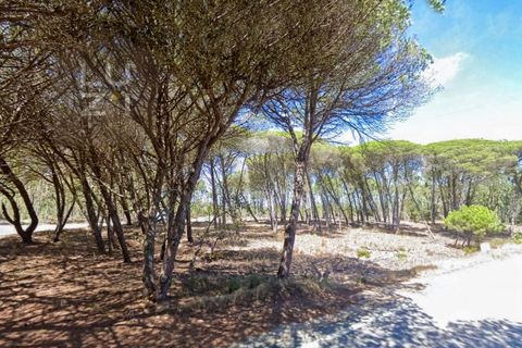 Helårsgrund i Sagres, Faro, Sagres - € 433.500 | Ref: DH230104_3 - foto 4