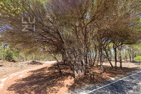 Helårsgrund i Sagres, Faro, Sagres - € 433.500 | Ref: DH230104_3 - foto 5