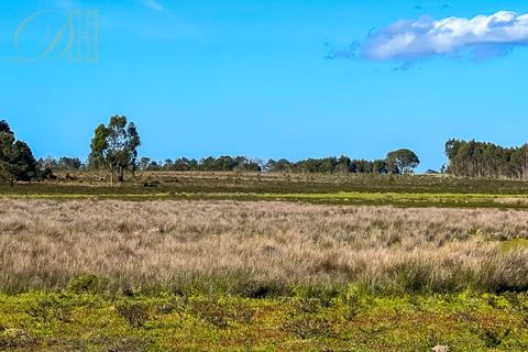 Helårsgrund i Sagres, Faro, Sagres - € 2.504.500 | Ref: DH230104_7 - foto 5