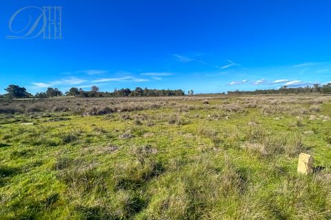 Helårsgrund i Sagres, Faro, Sagres - € 2.504.500 | Ref: DH230104_7 - foto 6