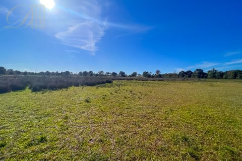 Helårsgrund i Sagres, Faro, Sagres - € 2.504.500 | Ref: DH230104_7 - foto 7