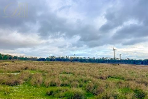 Helårsgrund i Sagres, Faro, Sagres - € 27.000 | Ref: DH230104_1 - foto 6