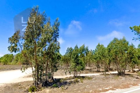 Helårsgrund i Sagres, Faro, Sagres - € 848.000 | Ref: DH230104_4 - foto 2